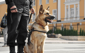 K9 Security